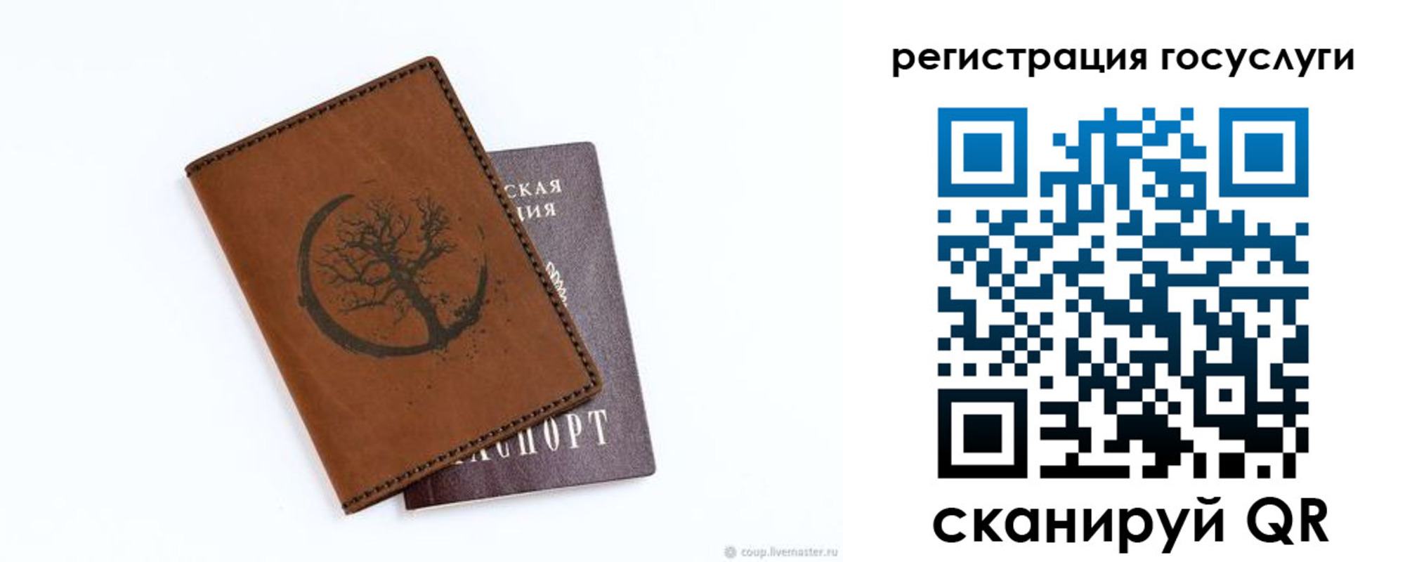 прописка регистрация в Зее